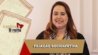 Explica Direito Filiação Socioafetiva  2019 [upl. by Chill]