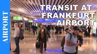 TRANSIT WALK AT FRANKFURT Airport FRA Terminal 1  Connection Flight Transfer Arriving amp Departing [upl. by Chelton780]